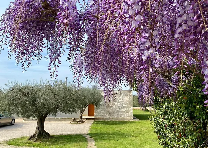 Casa Vari