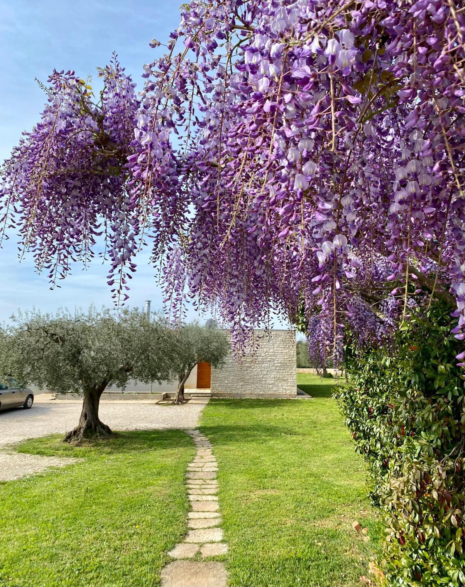 Casa Vari Villa Rovinj