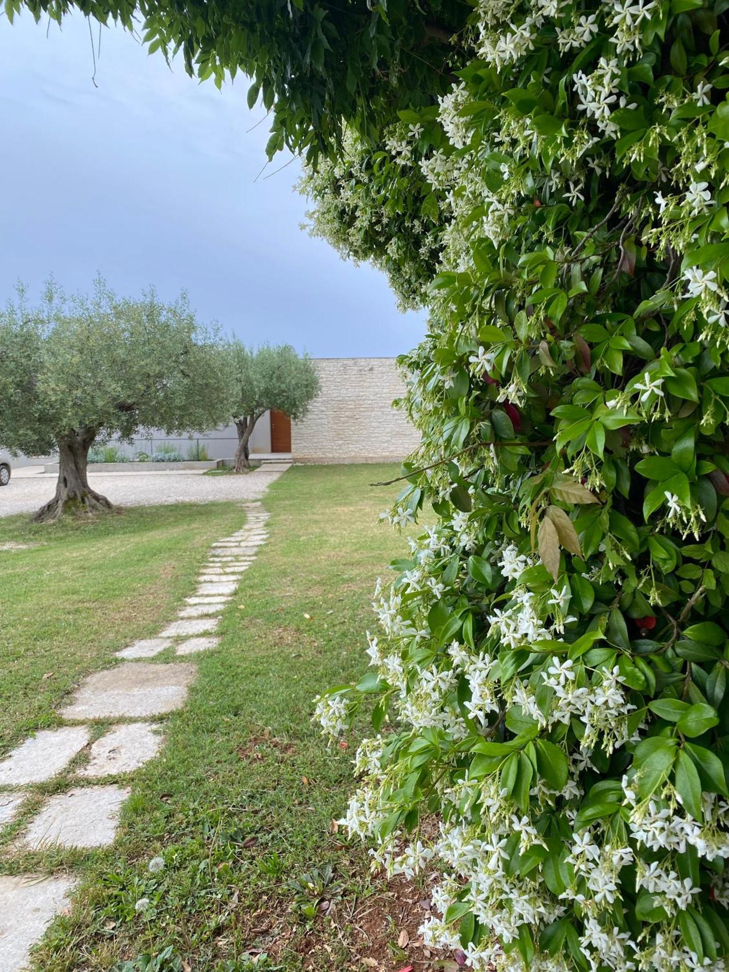 Casa Vari *